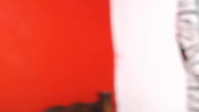aledarkboy [2016-11-18 23:40:30]
