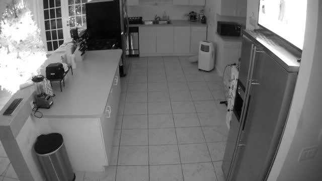 Kitchen [2016-12-20 10:45:26]