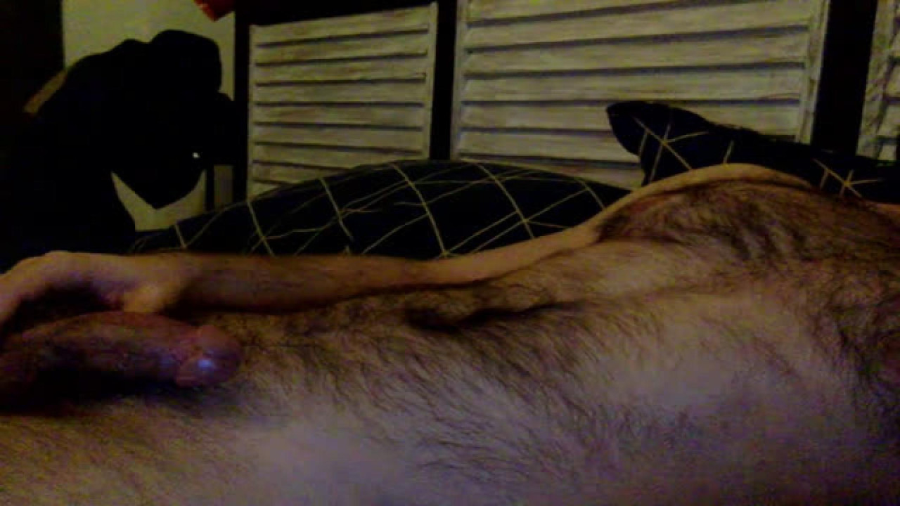 babybear86