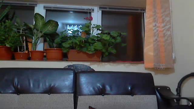emily22 [2016-11-19 17:25:52]