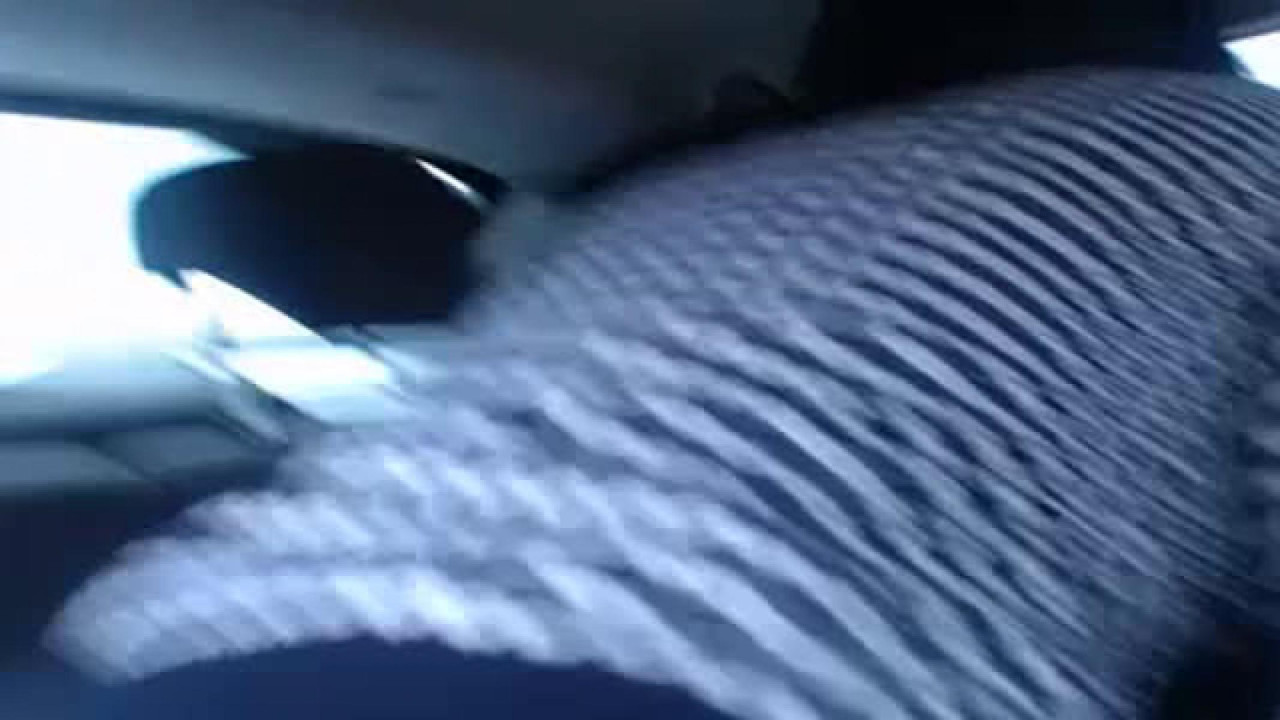 virgincouple