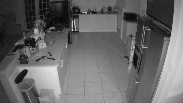 Kitchen [2017-01-12 05:50:42]